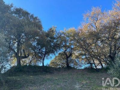 Acheter Terrain Tomar r�gion SANTAREM