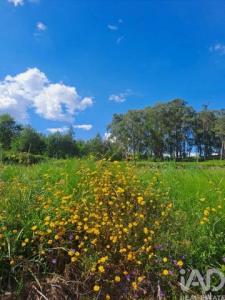 Annonce Vente Terrain Penafiel