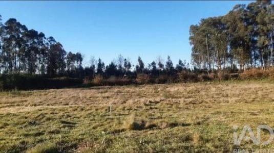 Acheter Terrain Penafiel r�gion PORTO