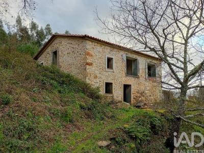 Annonce Vente Maison Figueiro-dos-vinhos