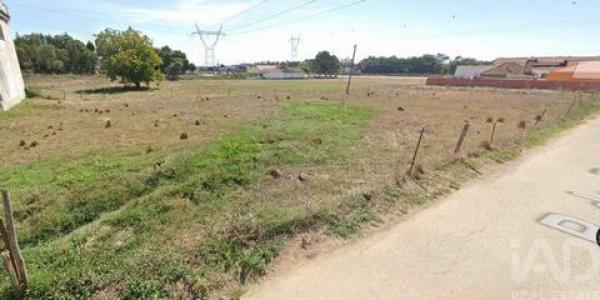 Annonce Location Local industriel Alcobaca