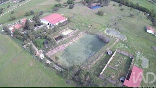 Annonce Vente Terrain Serpa