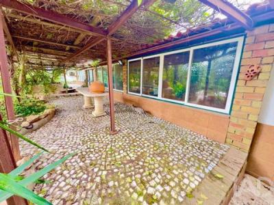 Acheter Terrain Serpa r�gion BEJA