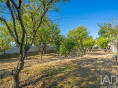 Acheter Maison 294 m2 Palmela