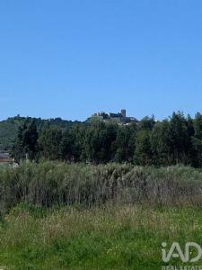 Acheter Terrain 32767 m2 Palmela