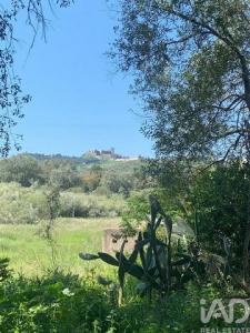 Acheter Terrain Palmela r�gion SETUBAL