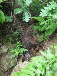 Acheter Maison 40 m2 Gouveia