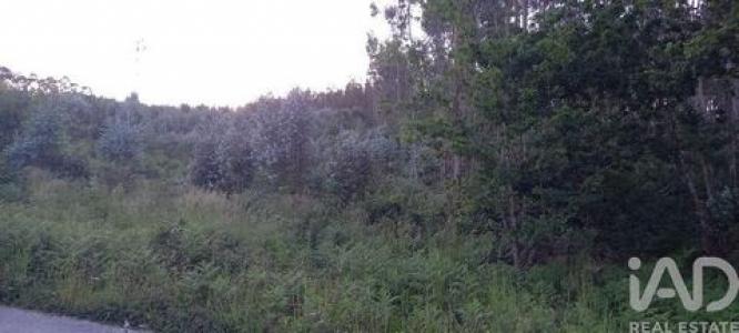 Acheter Terrain 32767 m2 Guimaraes