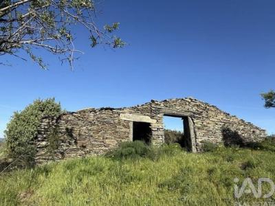 Annonce Vente Terrain Vila-nova-de-foz-coa