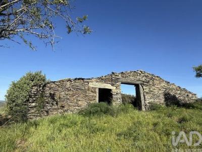 Acheter Terrain 32767 m2 Vila-nova-de-foz-coa