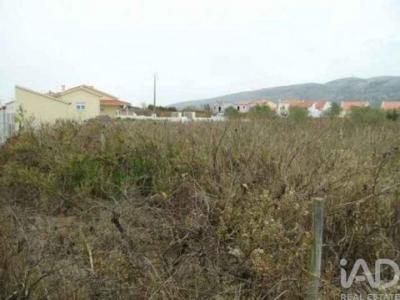 Acheter Terrain 1221 m2 Alcobaca