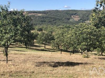 Annonce Vente Maison Braganca