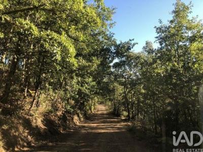 Acheter Maison 1006 m2 Braganca