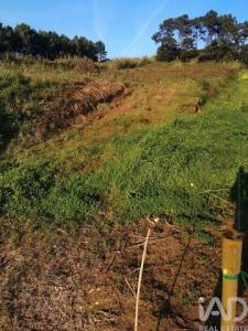 Vente Terrain Caldas-da-rainha  10 au Portugal