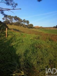 Acheter Terrain 4623 m2 Caldas-da-rainha