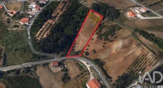 Acheter Terrain Caldas-da-rainha r�gion LEIRIA