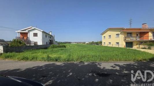 Acheter Terrain 2000 m2 Estarreja