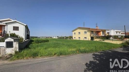 Acheter Terrain Estarreja r�gion AVEIRO