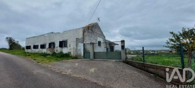 Annonce Vente Maison Santarem