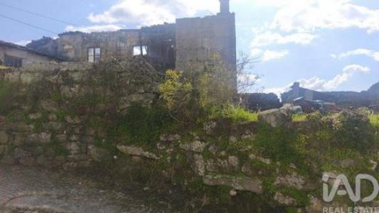 Annonce Vente Terrain Oliveira-do-hospital