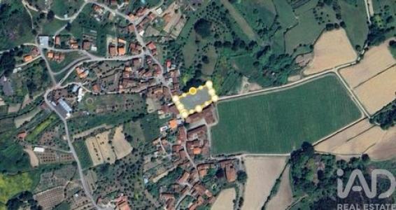 Annonce Vente Terrain Coimbra