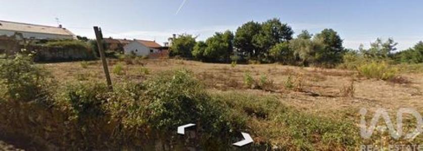 Acheter Terrain 2050 m2 Coimbra