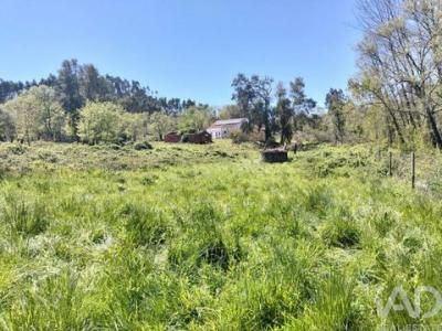 Annonce Vente Maison Ferreira-do-zezere