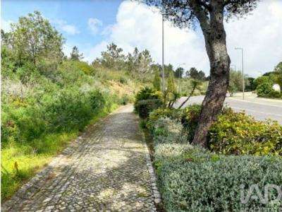 Annonce Vente Terrain Sintra