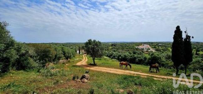 Annonce Vente Terrain Vila-do-bispo