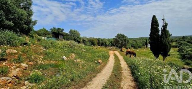 Acheter Terrain Vila-do-bispo r�gion FARO