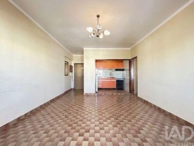 Acheter Appartement 47 m2 Loule