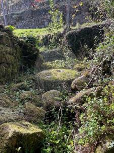 Acheter Maison Arcos-de-valdevez r�gion VIANA-DO-CASTELO