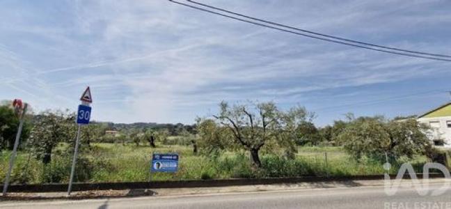 Annonce Vente Terrain Rio-maior