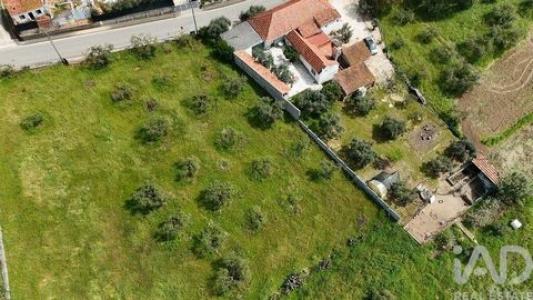 Acheter Terrain Rio-maior r�gion SANTAREM