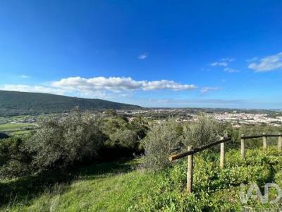 Annonce Vente Terrain Porto-de-mos