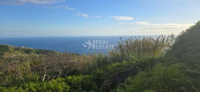 Vente Terrain Ribeira-brava  30 au Portugal