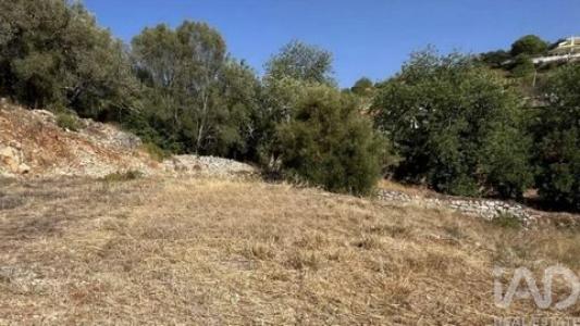 Annonce Vente Terrain Loule