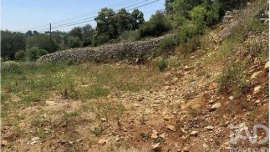 Acheter Terrain 770 m2 Loule