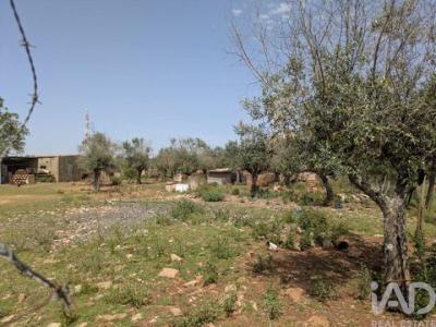 Vente Terrain Estremoz  07