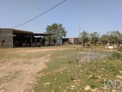 Acheter Terrain 5007 m2 Estremoz