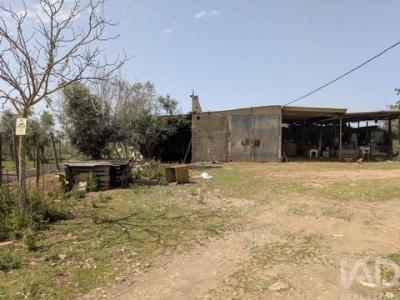 Acheter Terrain Estremoz r�gion EVORA