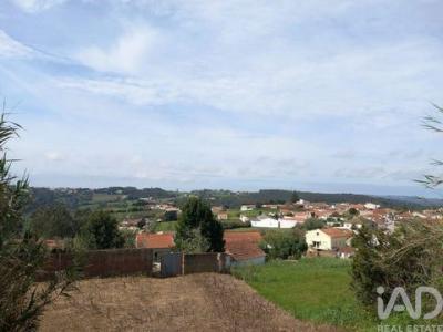 Acheter Terrain 1177 m2 Caldas-da-rainha