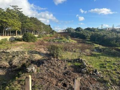 Acheter Maison 229 m2 Lagos