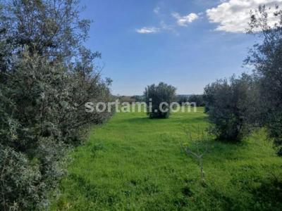 Annonce Vente Terrain Albufeira