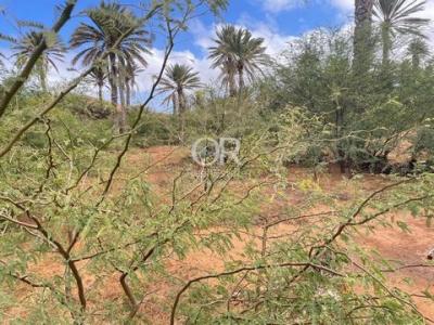 Acheter Terrain Sao-vicente r�gion MADEIRA