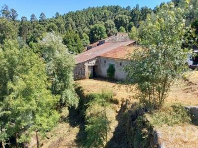 Vente Local commercial Oliveira-do-hospital  06