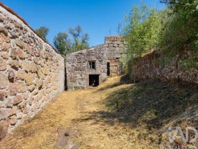 Acheter Local commercial 395 m2 Oliveira-do-hospital