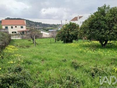 Annonce Vente Terrain Castelo-branco
