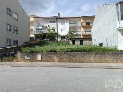 Acheter Terrain Mogadouro r�gion BRAGANCA