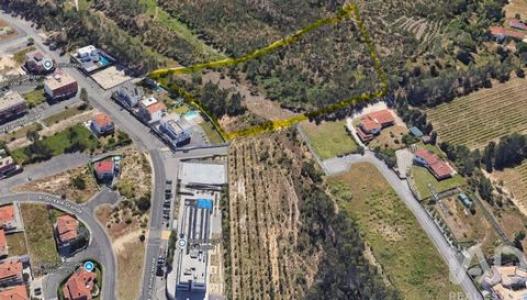 Acheter Terrain 20000 m2 Leiria